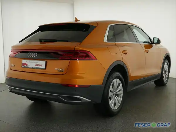 AUDI Q8 (2/19)