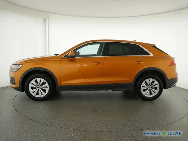 AUDI Q8 (14/19)