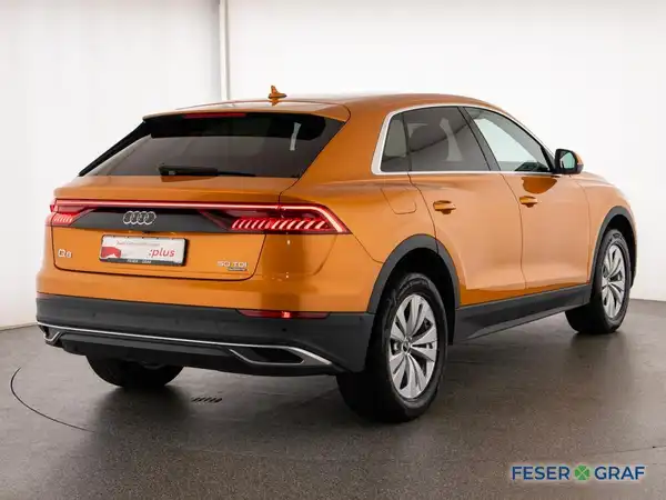 AUDI Q8 (2/17)