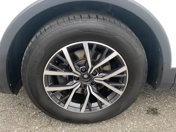 VW TIGUAN (4/19)