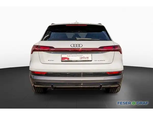 AUDI E-TRON (4/20)
