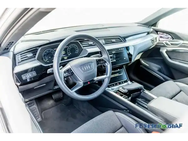 AUDI E-TRON (9/20)