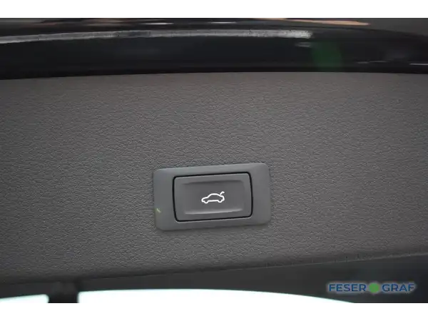 AUDI E-TRON (13/21)