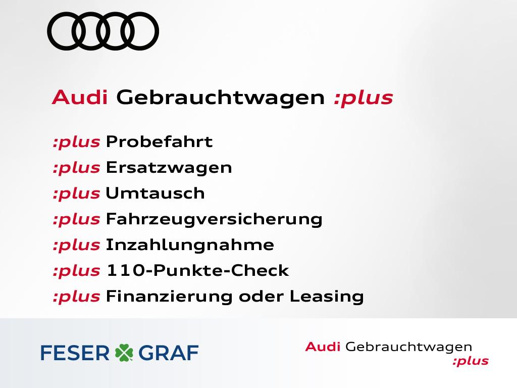 AUDI RS E-TRON GT (18/20)