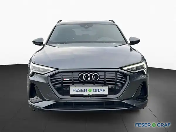 AUDI E-TRON (2/19)