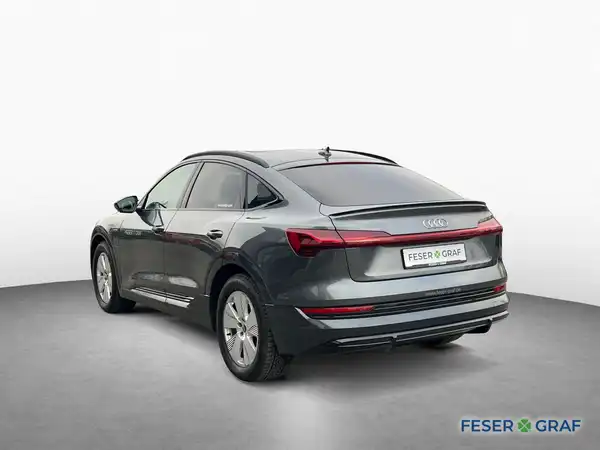 AUDI E-TRON (6/19)