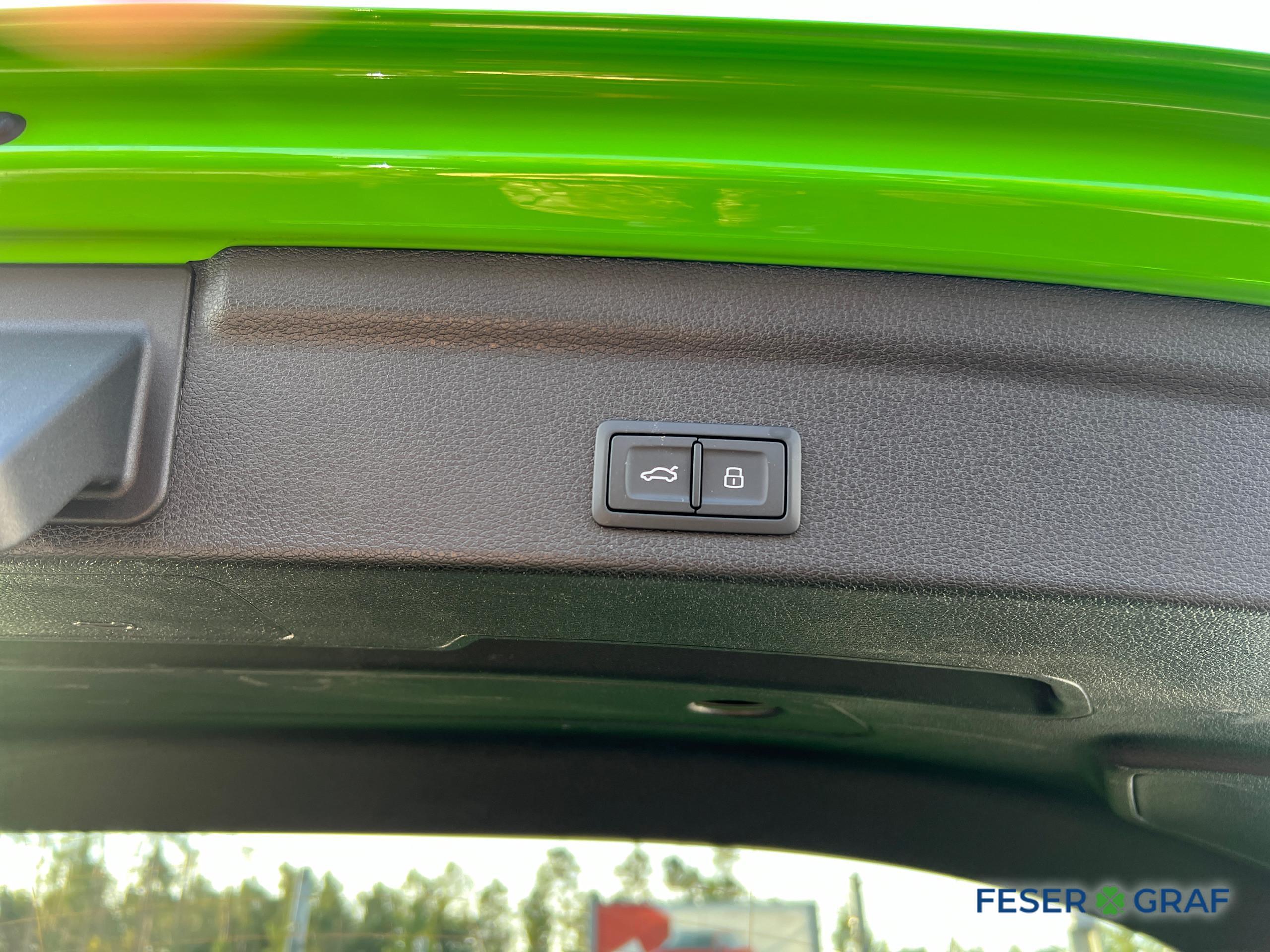 AUDI RS Q3 SPORTBACK (15/19)