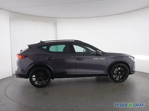 CUPRA FORMENTOR (13/16)